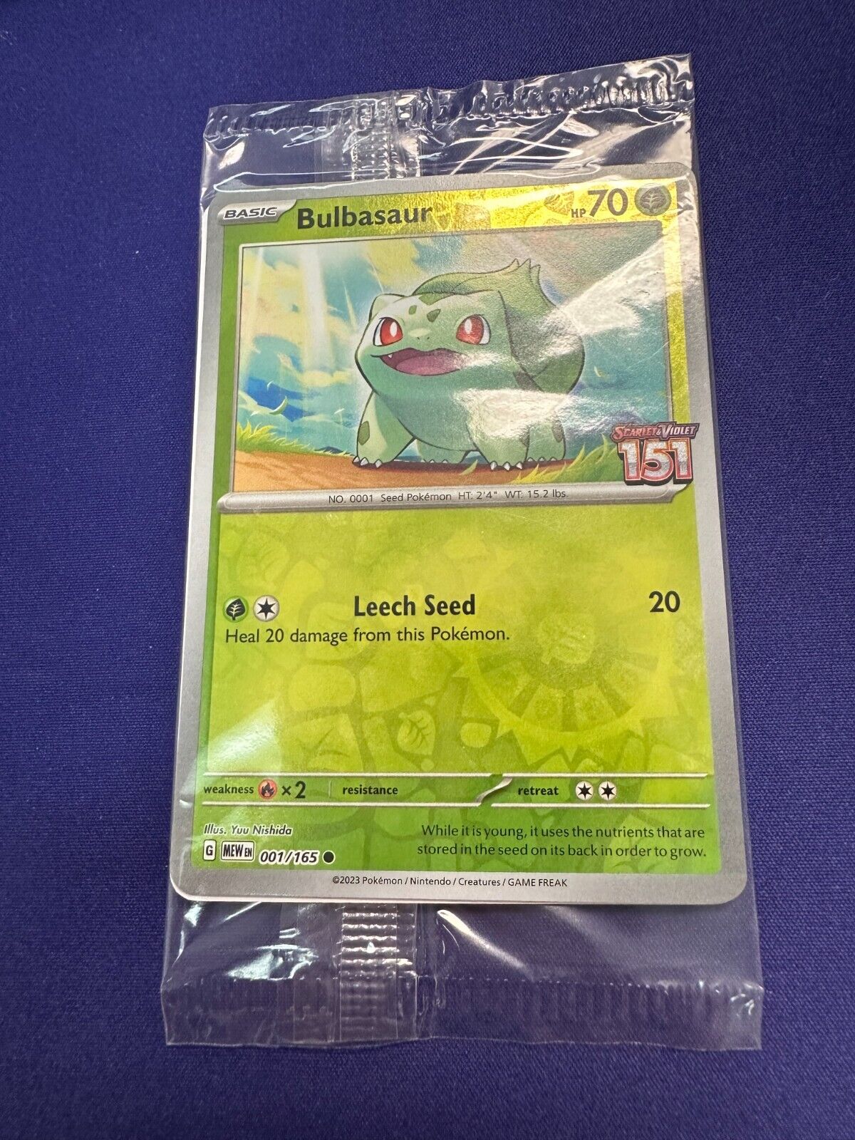 Bulbasaur 001/165 Best Buy Exclusive Promo 2023 Pokemon 151 *IN PACK*